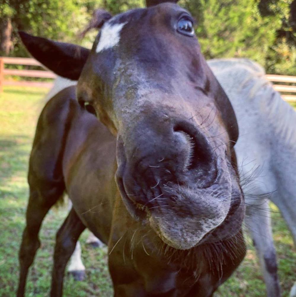 Meet your Posher, Megan